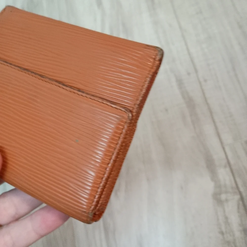 Louis Vuitton elegant louis